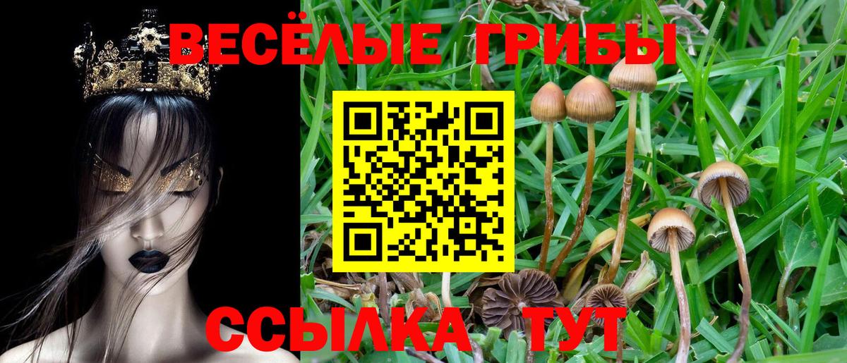 Изобильный  Галлюциногенные грибы GOLDEN TEACHER  Вход с VPN 